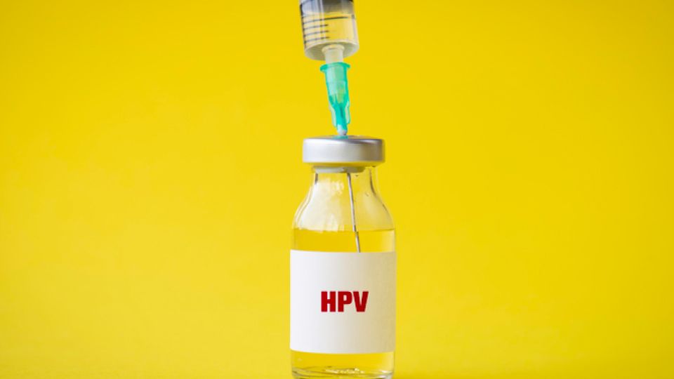 HPV, HPV바이러스, 인유두종바이러스, HPV예방, 자궁경부암
