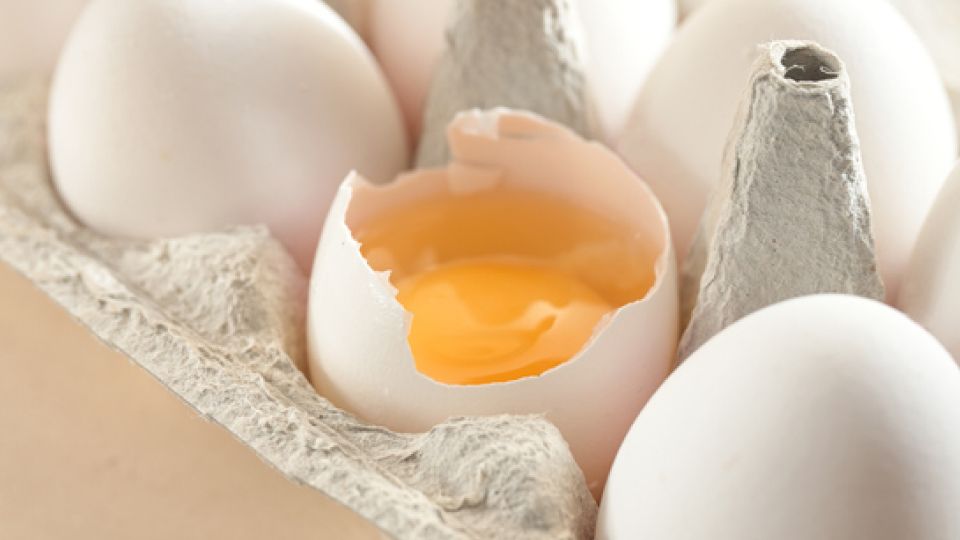 계란,달걀,후라이,아침달걀,아침계란,나만의닥터, 비대면진료, 비대면진료어플, 비대면진료앱, 원격진료, 약국배달, 약배달, 약배송, 건강상식, 건강정보, 건강꿀팁