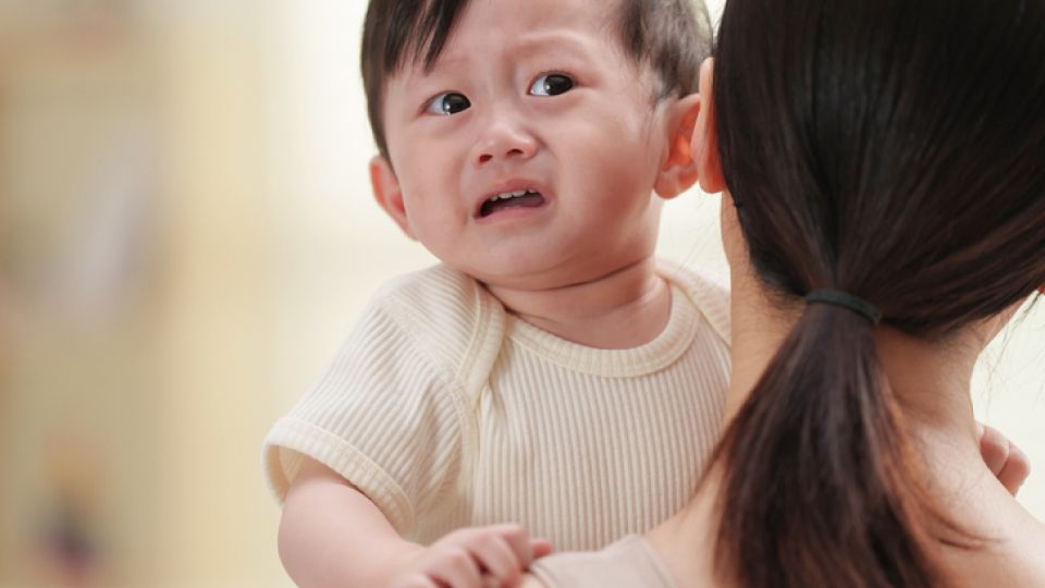 아이행동, 떼쓰기, 깨물기, 아이거짓말, 훈육