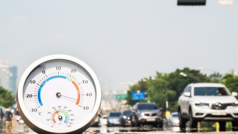 기상특보, 폭염, 호우, 태풍, 건조, 강풍, 풍랑, 폭풍해일, 지진해일, 대설, 한파, 황사, 화산재, 경보, 특보, 주의보, 날씨