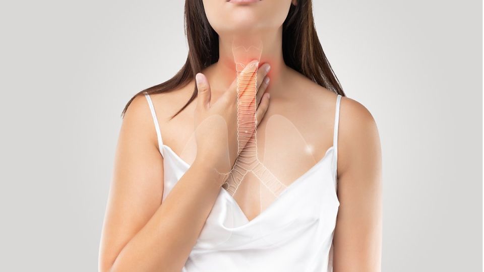 나만의닥터, 비대면진료, 화상, 화상치료, 화상연고, 화상응급처치법, 화상종류, 화상병원, 화상흉터, 화상흉터관리, 화상원인