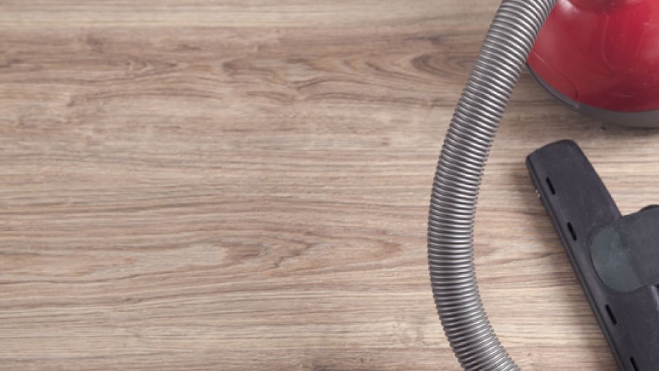 빈대, 빈대 예방, 빈대 대처,  빈대 유행, 빈대 발견, 빈대 처리, 나만의닥터, 비대면진료, 비대면진료어플, 비대면진료앱, 원격진료, 약국배달, 약배달, 약배송, 건강상식, 건강정보, 건강꿀팁