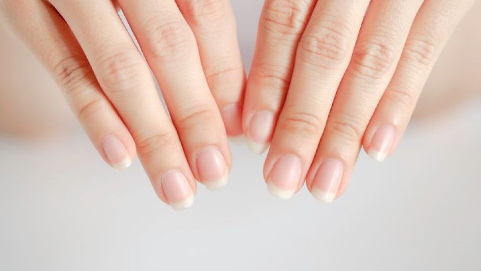 손톱, 발톱, 매니큐어, 간염, 혈액순환, 나만의닥터, 손톱 색, 손톱 모양, 발톱 색, 발톱 모양