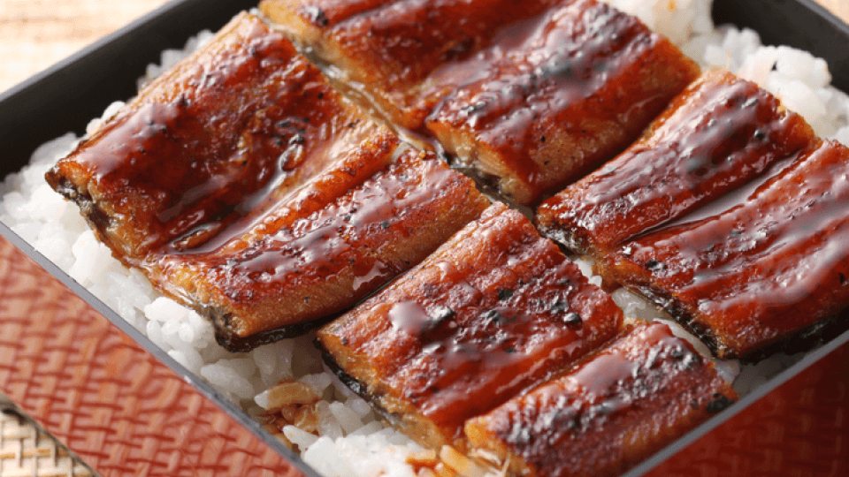 건강꿀팁 본문 이미지 (4).png