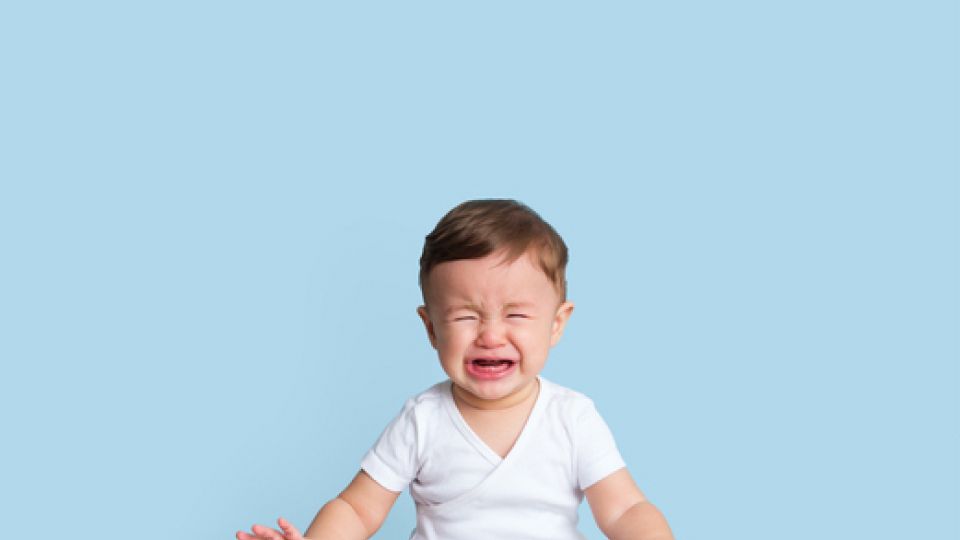 가정질서, 육아, 아이자율성, 아동교육, 규칙