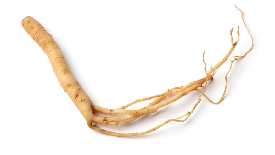 나만의닥터, 비대면진료, 약음식조합, 약부작용, 감기약먹을때독이되는음식, 변비약우유, 수면제술, 영양제궁합, 진통제부작용, 동맥경화약먹을때독이되는음식, 피임약인삼, 고혈압약부작용