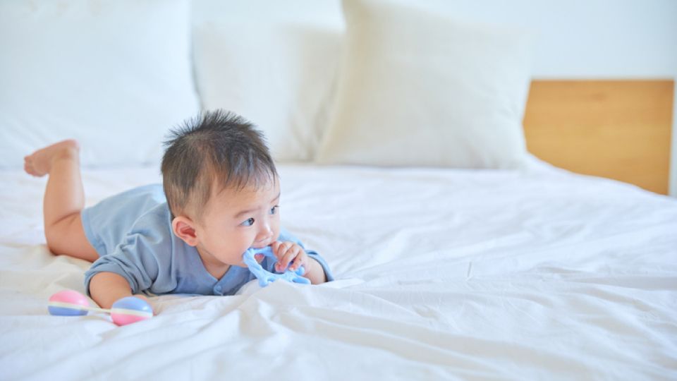 신생아, 발달, 성장, 아기안전, 이유식, 신생아예방접종