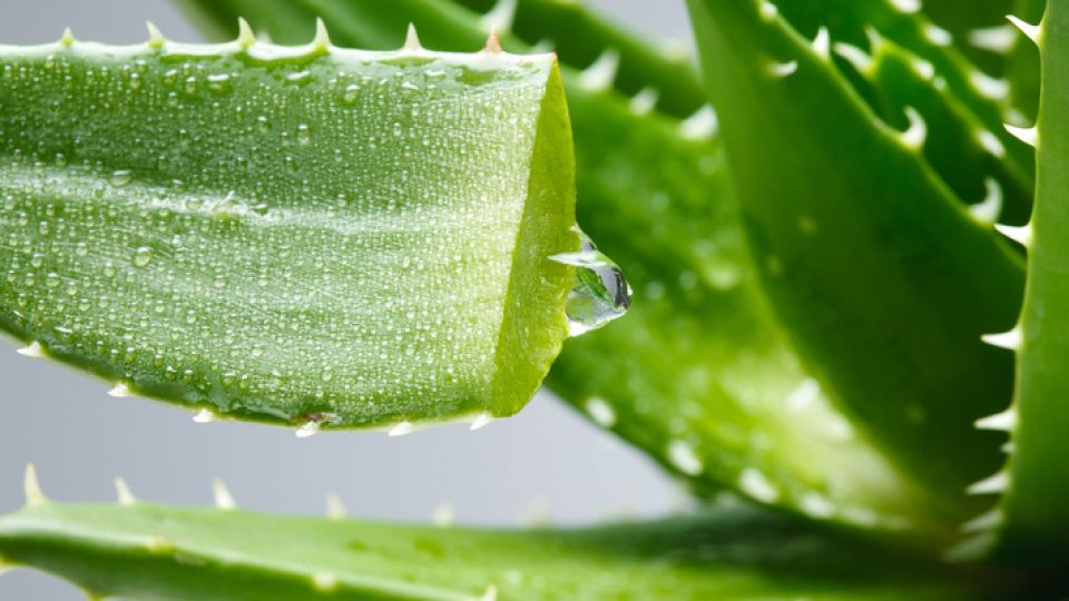 독감 유행 (4).jpg