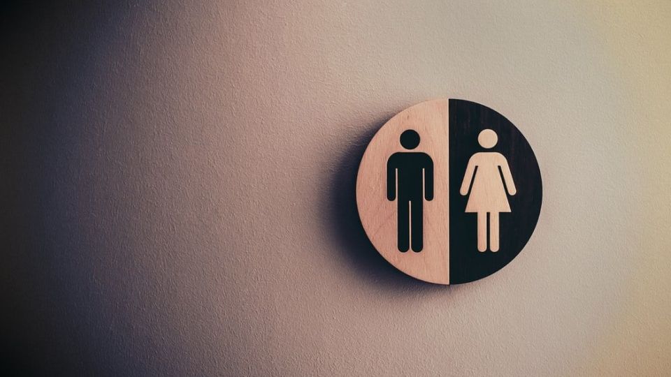 질염, 칸디다질염, 세균성질염, 트리코모나스질염, 질염약, 질염증상, 질염분비물, 질염약감기약, 질염냉