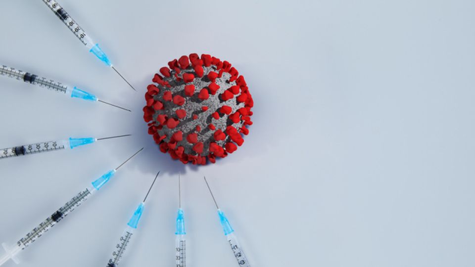 독감 유행 (5).jpg