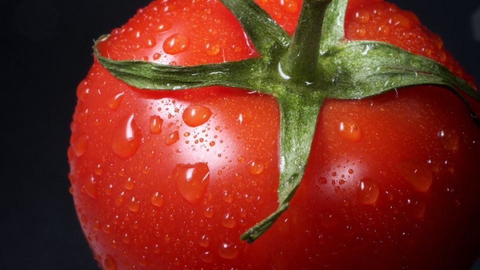 숙취해소,숙취해소에좋은음식,숙취해소음식,숙취,숙취해소에좋은방법,술마신다음날,숙취해소에안좋은음식,술마신다음날숙취,숙취해소음료