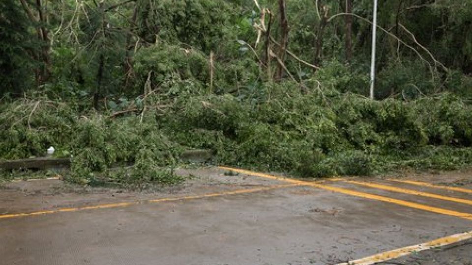 태풍, 카눈, 태풍 주의, 태풍예보, 태풍주의보, 나만의닥터, 비대면진료, 비대면진료어플, 비대면진료앱, 원격진료, 약국배달, 약배달, 약배송, 건강상식, 건강정보, 건강꿀팁