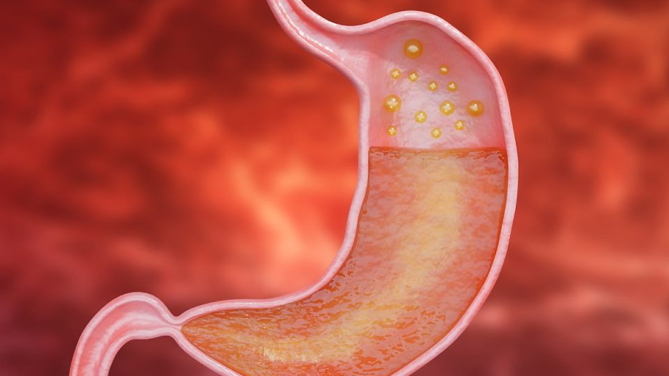 헬리코박터균,속쓰릴때,위건강,위에좋은음식,위염증상,만성위염,비대면진료,나만의닥터,만성위염치료,위장질환