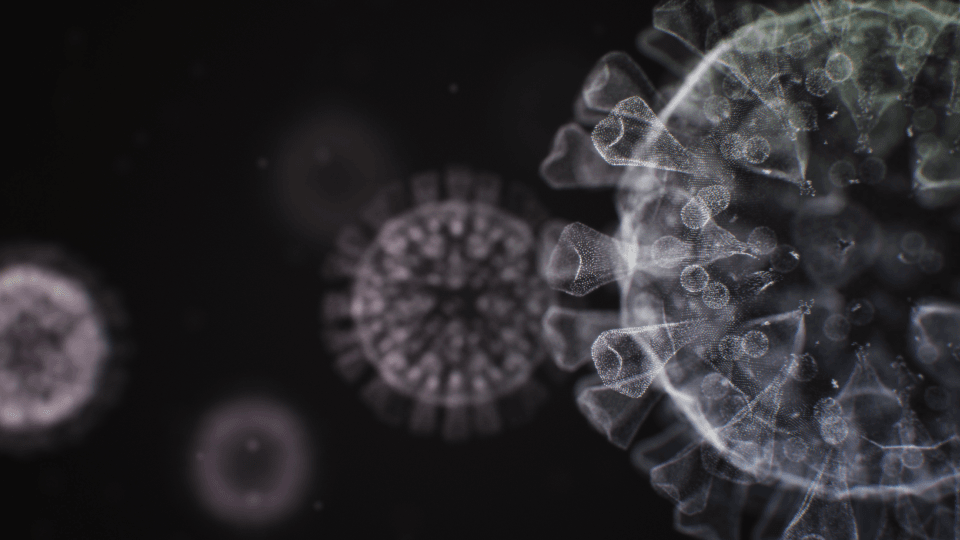 건강꿀팁 본문 이미지 (9).png