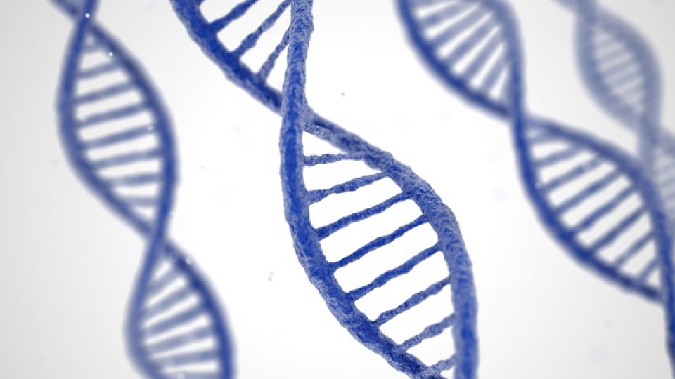 DTC 유전자검사, 젠톡, 유전자검사, 유전자