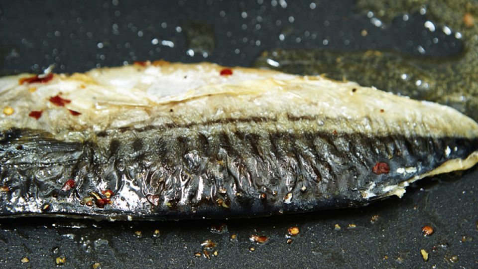 천식, 미세먼지, 호흡기질환, 심혈관질환, 천식, 미세먼지 나쁨, 환기