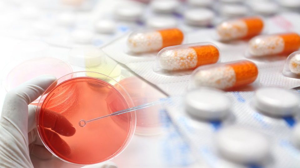 다이어트, 다이어트약, FDA 승인, 정책 발전