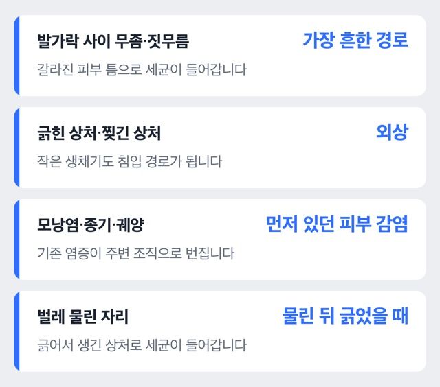 봉와직염 세균이 피부로 들어오는 경로 도해