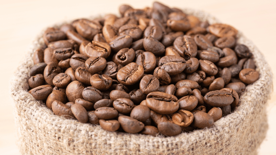 GettyImages-1452893765 1.png