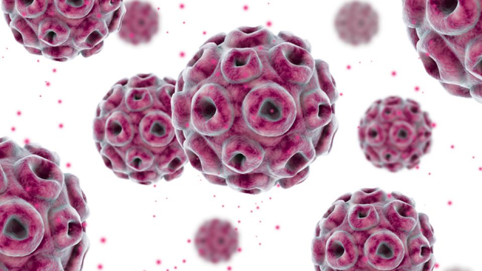 HPV, HPV바이러스, 자궁경부암, 가다실, 인유두종바이러스