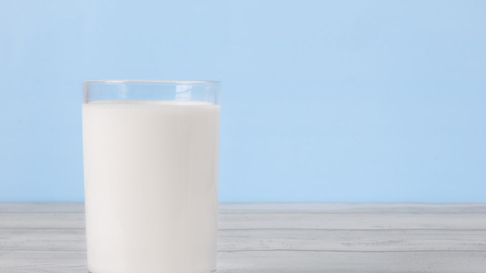 양배추, 감자, 당근, 오이, 달걀, 우유, 고구마, 바나나, 토마토, 귤