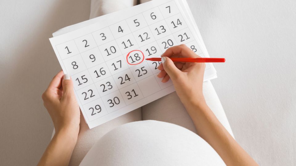 임신중, 출산전, 태교, 임신준비, 출산준비