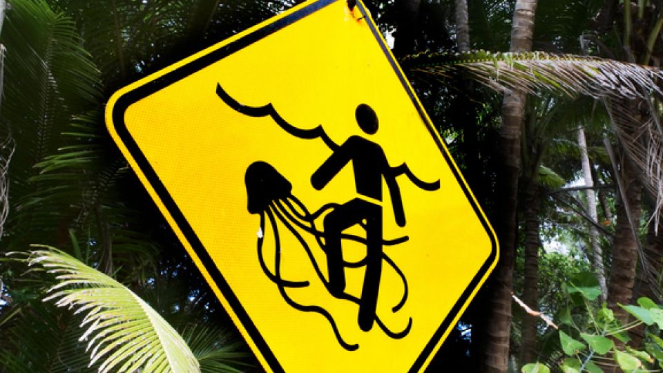 해파리 표지판.jpg