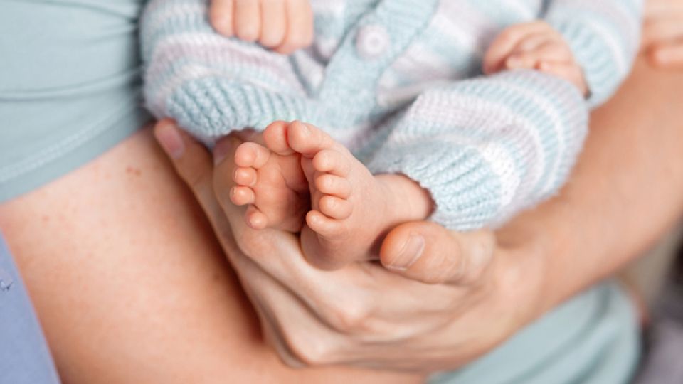 신생아, 체중, 발열, 신장, 호흡, 감각, 목욕, 발열