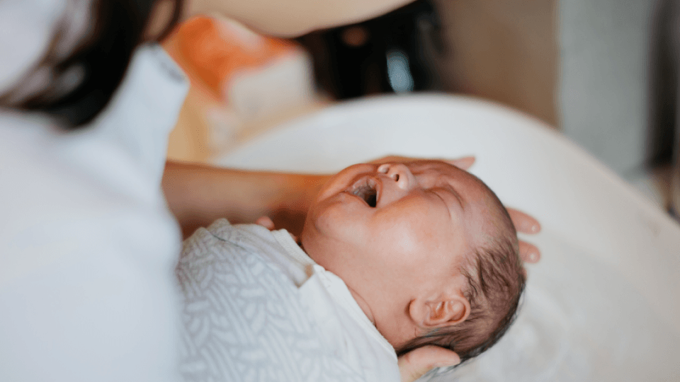 아기 돌발진.png