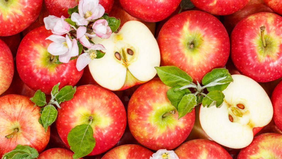 아침 사과는 금, 저녁 사과는 독_.jpg