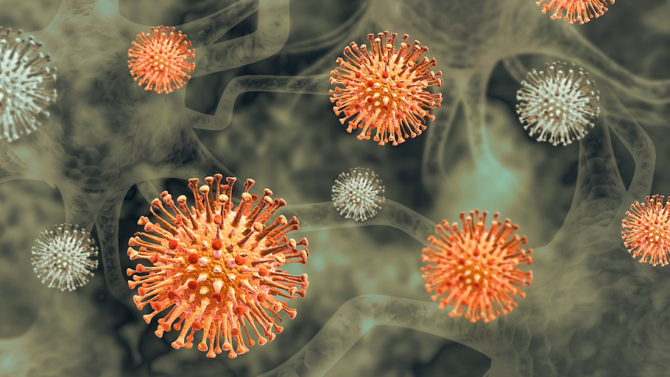 독감, 면역력, 염증, 예방, 음식