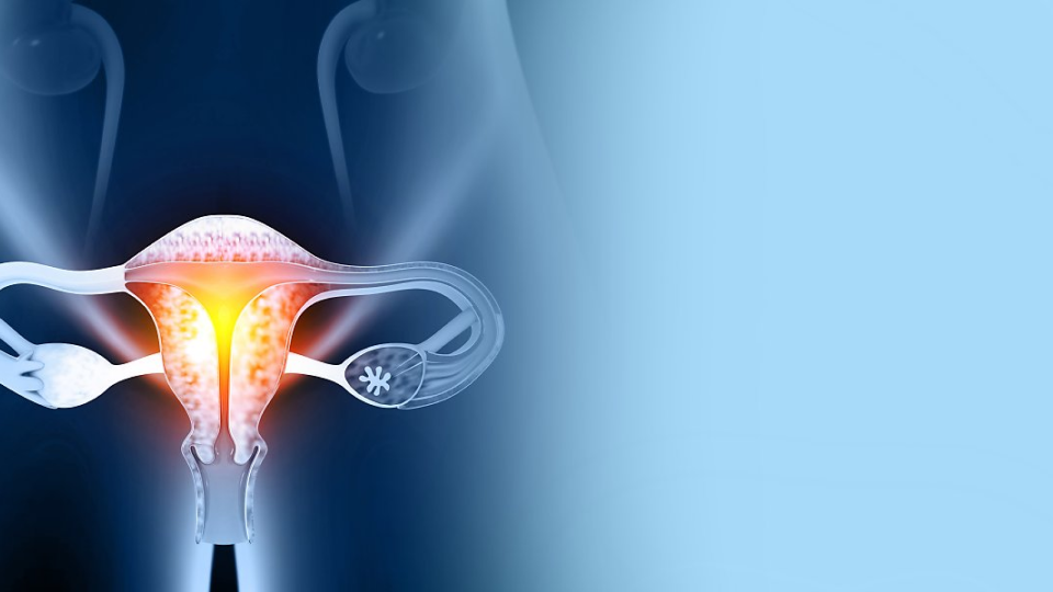 가다실, 자궁경부암, 음경암, 여성질환, 남성질환