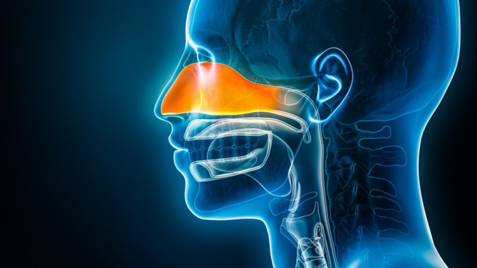 코골이, 코골이원인, 코골이영향, 코골이 치료법, 코골이 수면