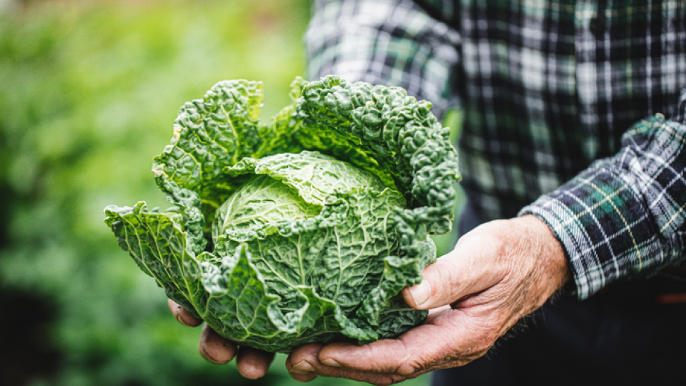 과식, 폭식, 위험성, 방지, 포만감