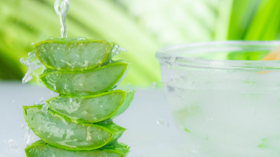 탈모 샴푸, 샴푸 성분, 탈모