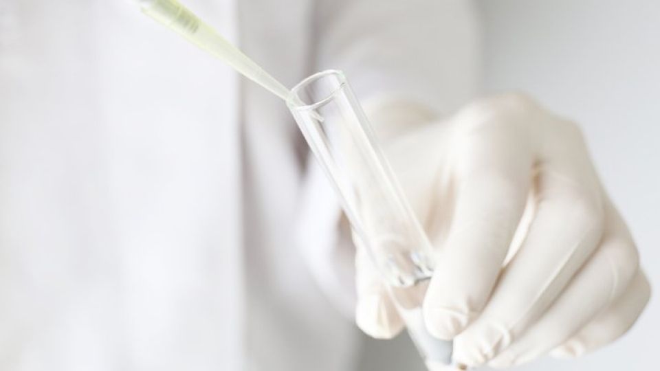 아스파탐, 발암물질, 인공감미료, 아스파탐 소화, 제로콜라, 제로음료수