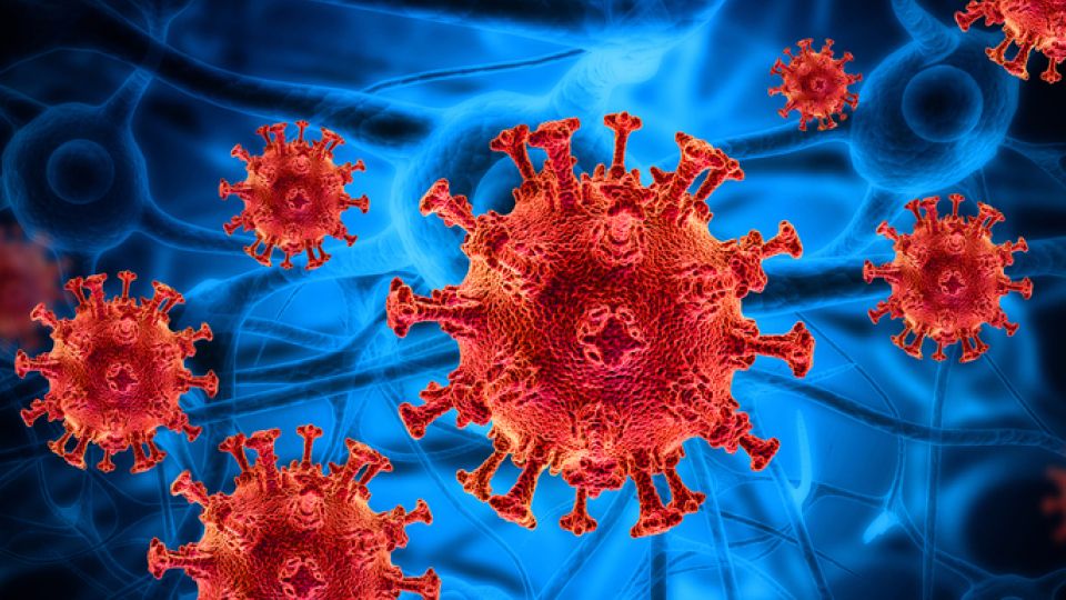 마이코플라즈마, 마이코플라즈마 증상, 마이코플라즈마 원인, 마이코플라즈마 예방법, 마이코플라즈마 치료, 기침, 고열