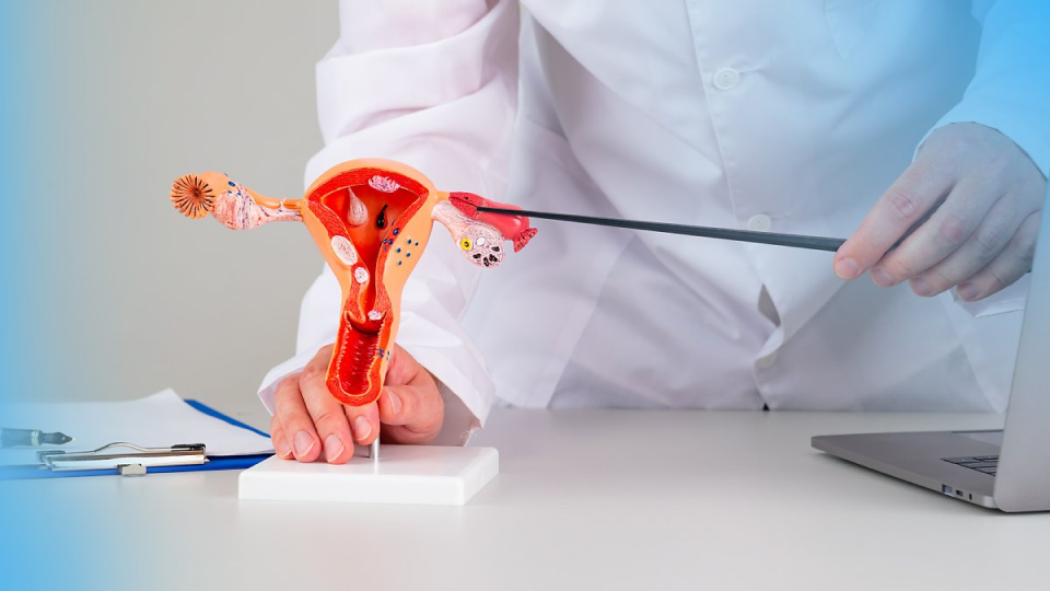 질염,자궁경부암,자궁근종,유방암,난소암,폐경기