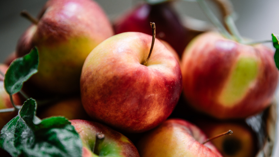 과식, 폭식, 위험성, 방지, 포만감