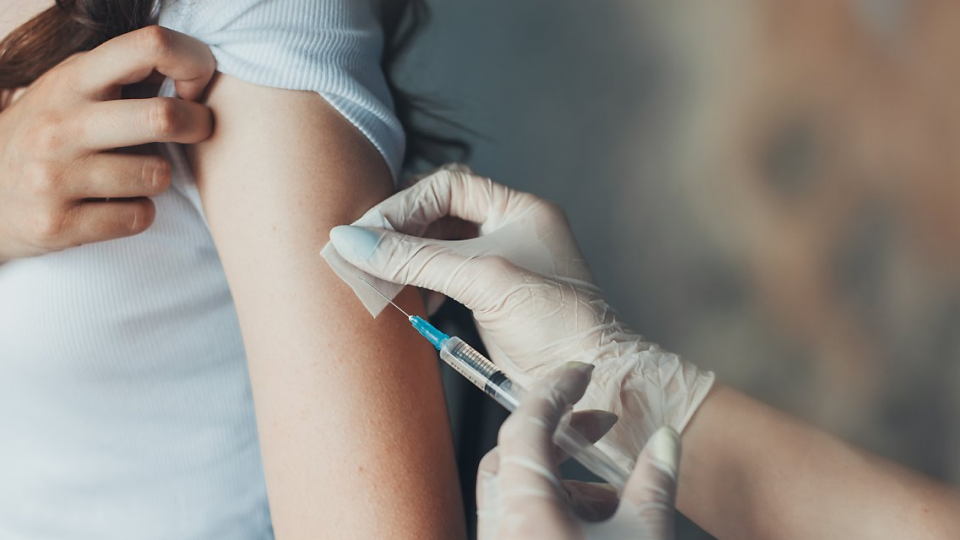 독감, 사망, 사망률, 예방, 예방주사