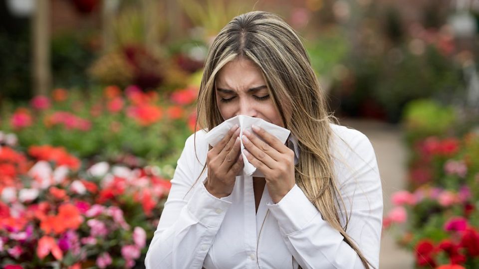 환절기, 비염, 알레르기비염, 환절기비염원인, 환절기비염증상, 환절기비염치료, 환절기비염관리, 비대면환절기비염진료, 비염치료