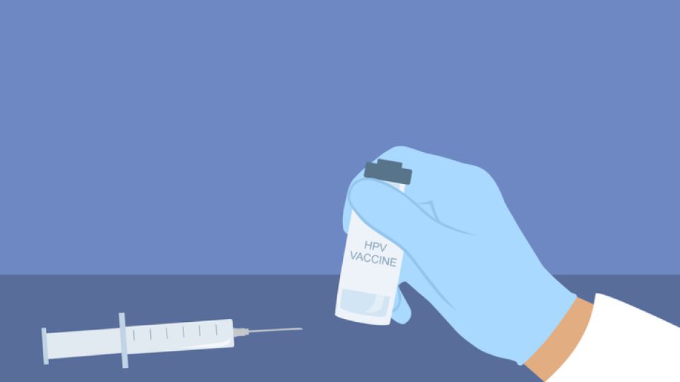 HPV, HPV바이러스, 자궁경부암, 가다실, 인유두종바이러스