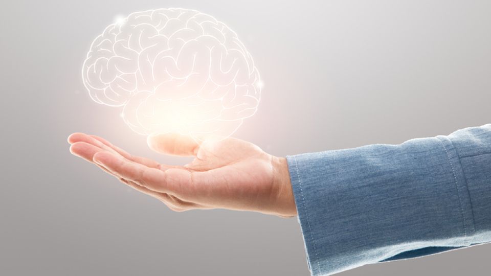 사과의 효능.jpg