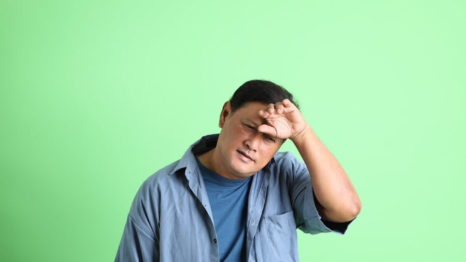 비만, 더위, 땀, 지방층, 체온조절