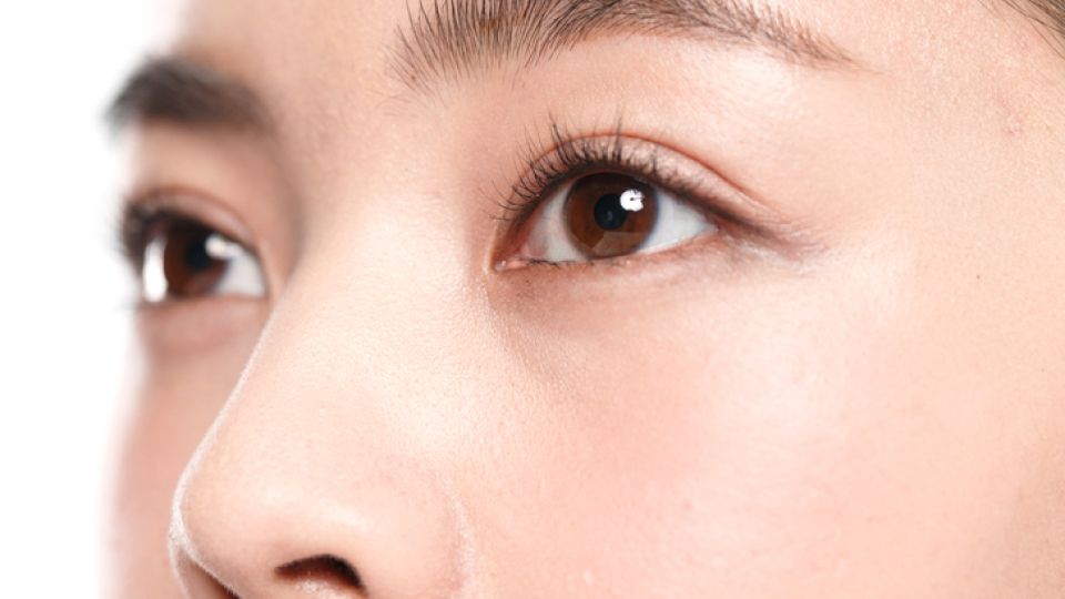 당 섭취, 당 섭취의 영향, 일일 권장 당류 섭취량, 건강을 위한 식습관