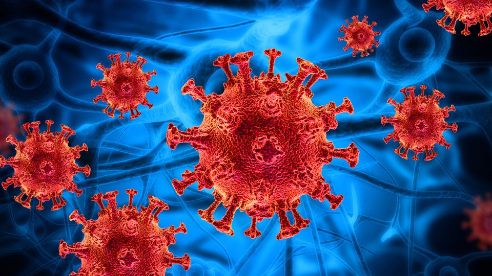 코로나, 격리, 가족생활