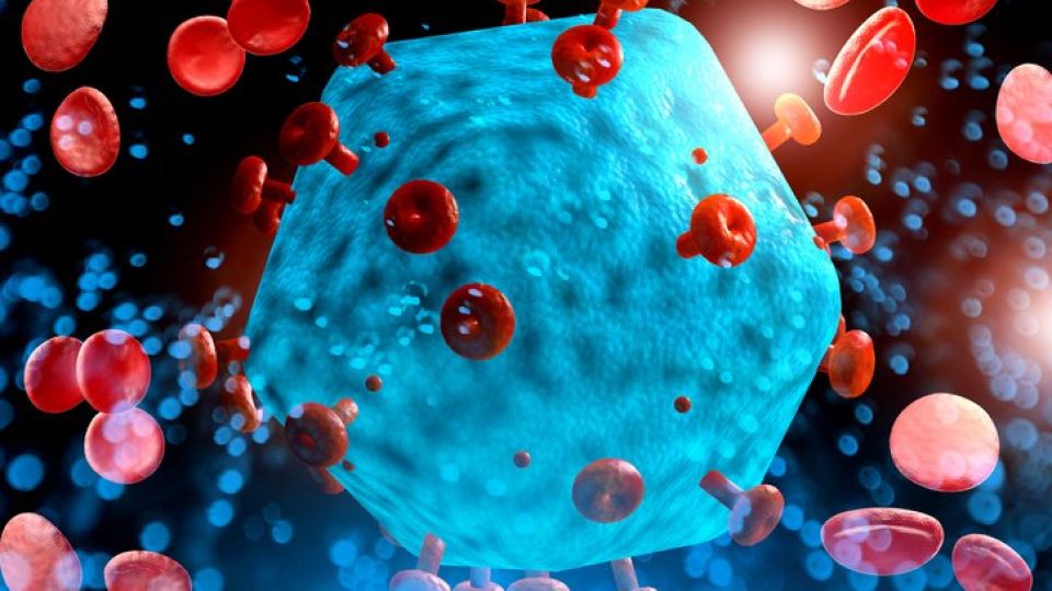 에이즈, 에이즈 원인, 에이즈 증상, 에이즈 원인, 에이즈 감염경로, 에이즈 증상, AIDS, HIV, 인체면역결핍바이러스