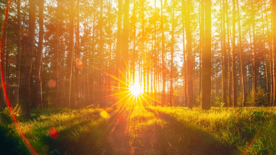 유방암, 유방암 속설, 유방암 발병률, 유방암 예방, 유방암 예방 습관