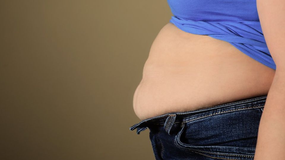 다이어트, 다이어트시술, 다이어트후기, 다이어트수술, 지방흡입, 람스, 비만대사수술, 다이어트약