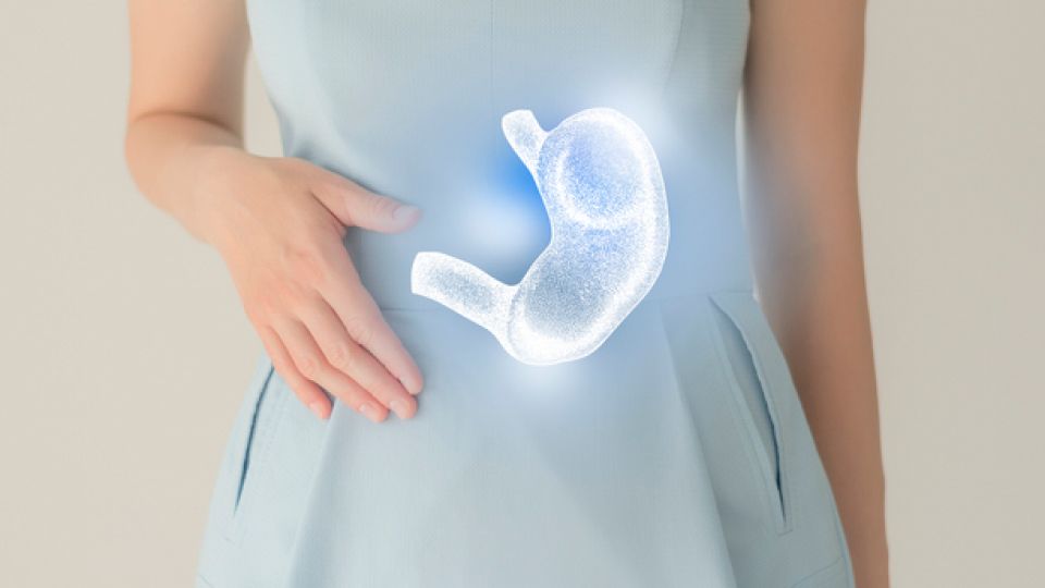 소화제, 소화제추천, 소화제종류, 소화제비교, 배아제, 까스앤프리츄정, 트리싹정, 겔포스앰, 덱실란, 베나치오